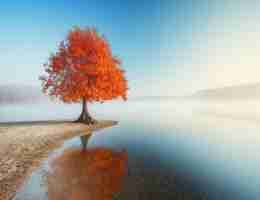 网‍站​资​讯‌监﻿控﻿